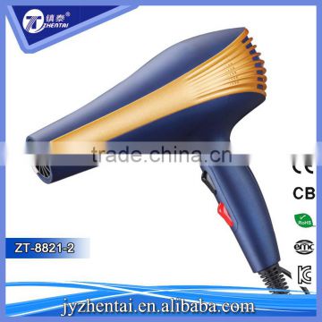 Polish Blue Color 2 Speeds Nylon Hair Blower Dryer