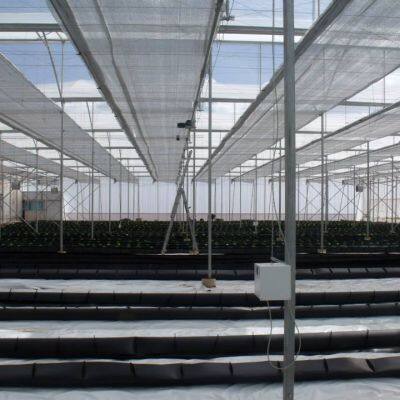 2025 Top Quality Greenhouse Climate Screen For At Least 5 Years Using Life photo-2