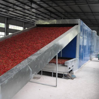Dehydrated Fruit Vegetable Dehydrated Tomato Processing Line Processing Line