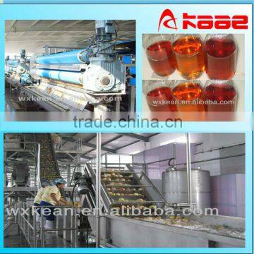 High quality automatic apple juice production plant for pear,carrot,pineapple,etc.