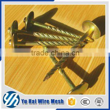 China Umbrella Head Roofing Nailsdirect From Factory Supplier's Choice photo-4