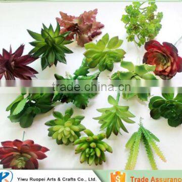 pvc Mini single Artificial succulent plant with different styles                        
                                                Quality Choice