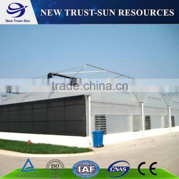 High quality plastic film multi-span flower greenhouse