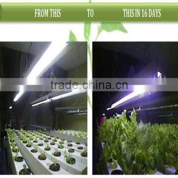 Single 3w chip High efficiency LED grow light