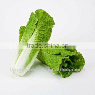 High-imitation soft cabbage
