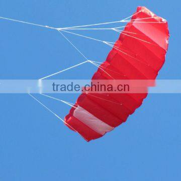 Weifang Kaixuan 2M Wingspan Power Kite