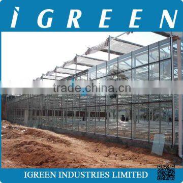 Automatic Glass Greenhouse photo-2