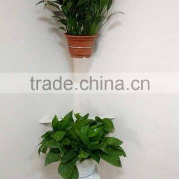 Adjustable Metal Bracket for Single Square / Rectangular Flowerpot 10" to 19" photo-4