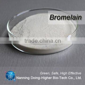 High Quality Enzyme Food Use Protease Bromelain photo-2