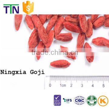 TTN free sample ningxia import goji organic dried goji berry