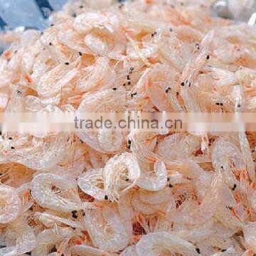 Top quality dried baby shrimp export to Japan