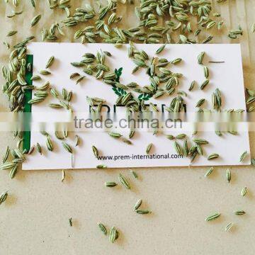 Best Quality Fennel Seeds