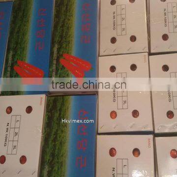 HKVIMEX'S Professional Supplier Bulk Fresh Carrots photo-3