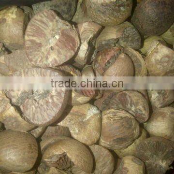 Dried Betel Nut Best Price