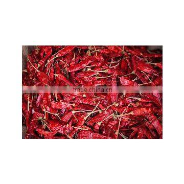 Raw Processing Type and Red Color Spices photo-3