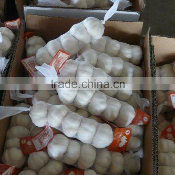 2015 fresh garlic in china market (4pcs small packing)