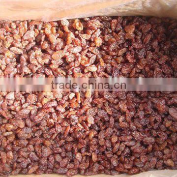 dried fruit-sutlana raisin