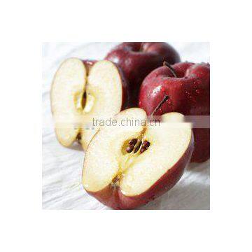 Common Cultivation Type and Apple Type Fresh Apples Fruit photo-4