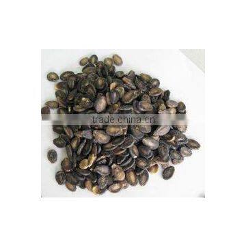 Chinese foodstuff / new crop black watermelon seeds A grade