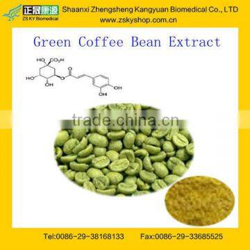 GMP Certified Manufacturer Supply Free Sample Green Coffee Bean Extract Powder