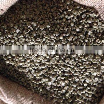 Wet Polished Robusta Green Coffee Beans Grade 1 Screen 18 photo-3