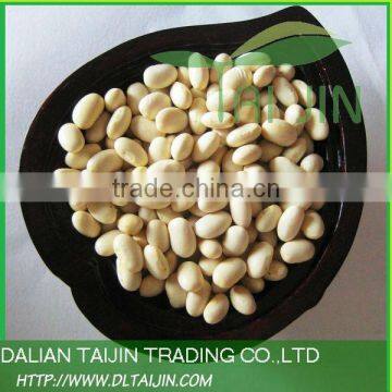 BAISHAKE TYPE WHITE KIDNEY BEAN