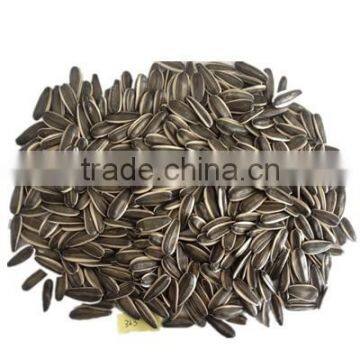 sunflower seeds 363