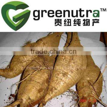 Kudzu Root Extract Powder