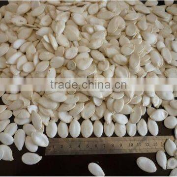 Snow White Pumpkin Seeds 9-14CM, 11-13MM photo-4