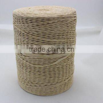 Craft Paper Rope for Making Bags Hats and Flower Arrangement