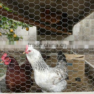 2014 Plastic Chicken Wire Mesh Fence Netting