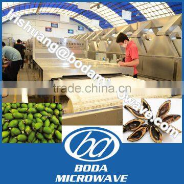 betel nut microwave tunnel dryer