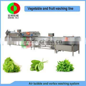 New developed vortex air bubble ozone fruit and vegetable washing production line