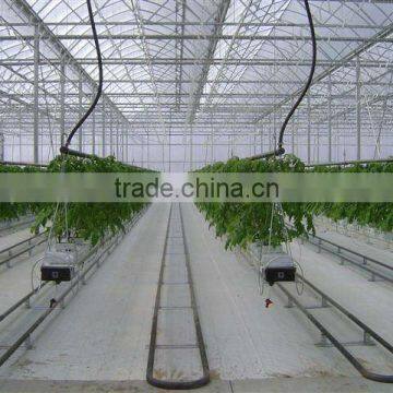 Hydroponics Greenhouse Multi Span Poly Film/PC Sheet