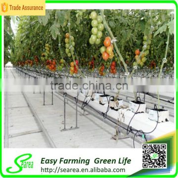 Multi span vegetable greenhouse for sale