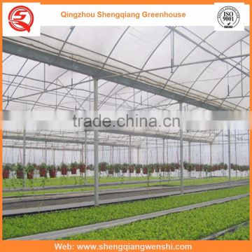 High quality 8.0m multi-span film greenhouse agriculture for sale