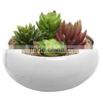 Decorative Display Bowl Round White/green Ceramic Succulent Plant Flower Planter Pot photo-2
