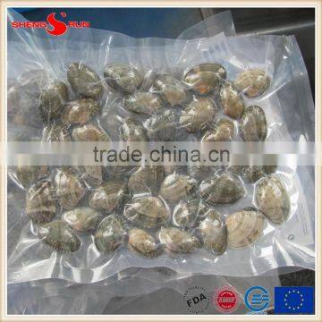 Frozen Boiled V-packed Baby Clam photo-3