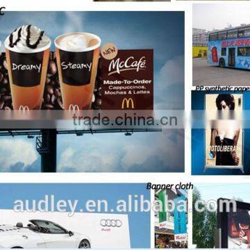 Audley Inkjet Printerast Speed Solvent Printer photo-2