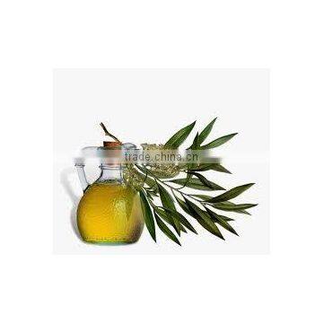 Tea Tree Oil photo-3