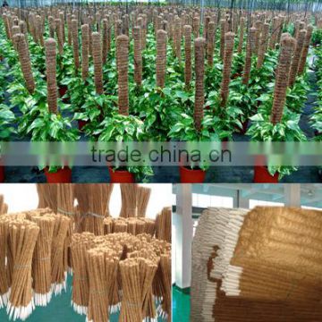 Coconut pole for plant support with coconut fiber PVC bamboo stick