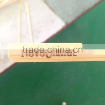 Food Sticks Supplier