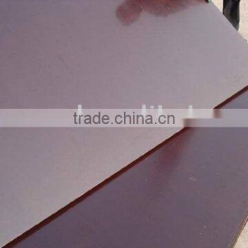 high quality film faced plywood