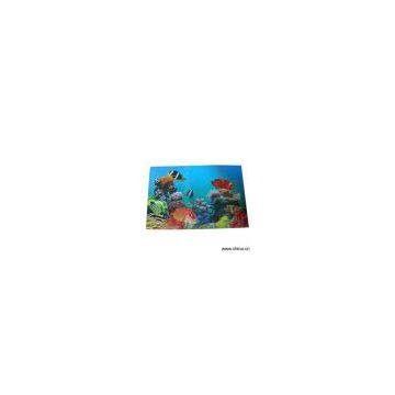 Sell Lenticular (3D) APET Printed Sheet