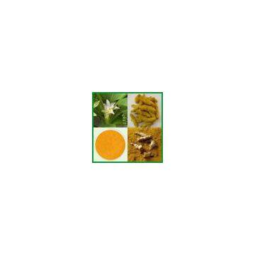 Turmeric Extract 15% ~ 95%Curcumins