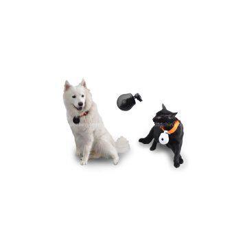 LCD screen display mini cute pet collar camera