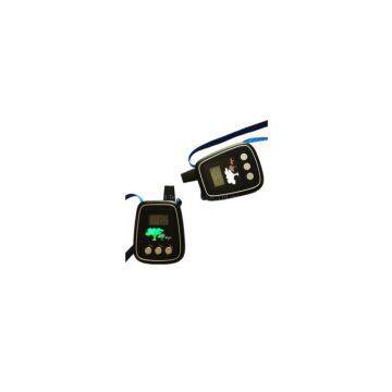 Wireless tour guide system