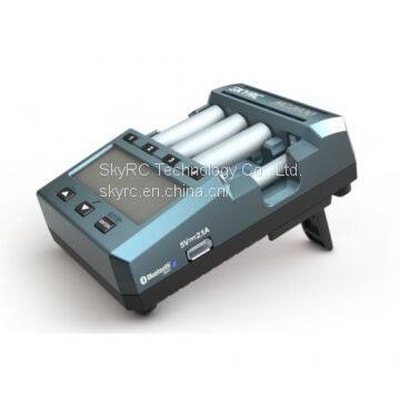 SkyRC NC2600 AA/AAA NiMH/NiCd Battery Charger & Analyzer photo-5