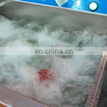 Restaurant Fruit Washing Machine Vegetable Washing Machine / Tomato Washer / Apple Washing Machine With Stainless Steel & CE photo-7