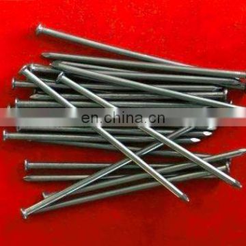 China supplier hot sale common nail